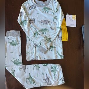 Burt's Bees Kids Dinosaur Pajama Set - Green and Gray